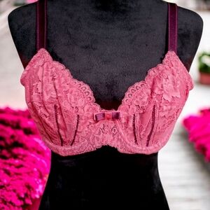 Adore Me Burgundy Wine Bra Size 40B EUC